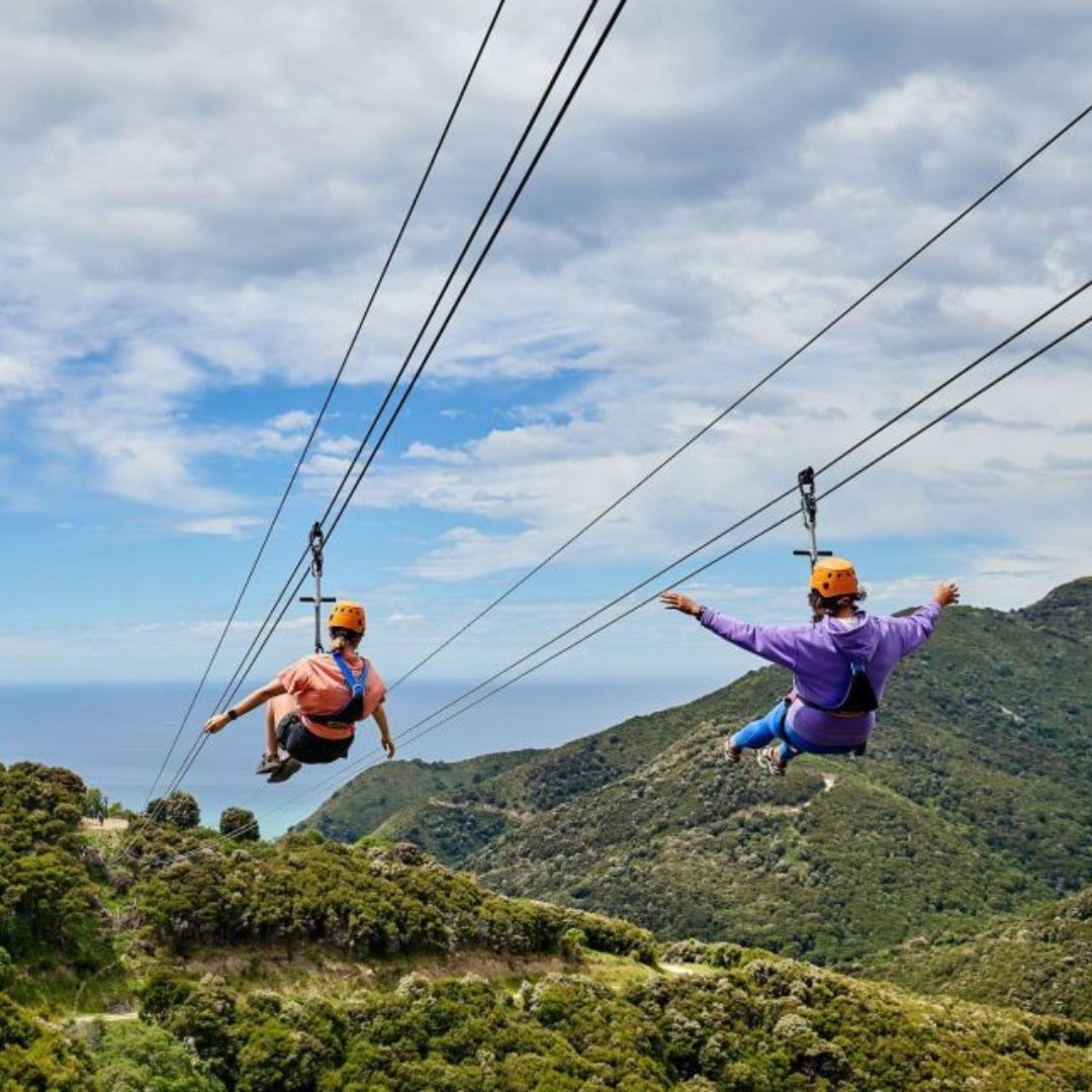 Zipline